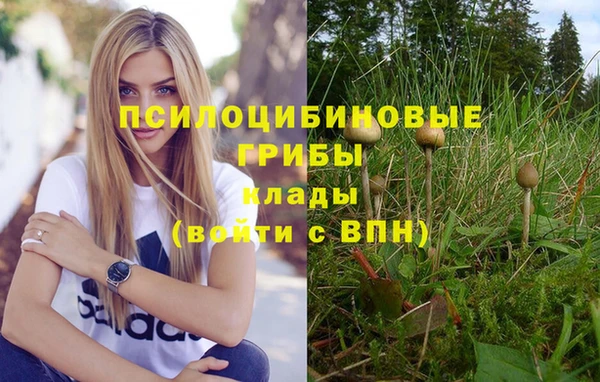стафф Балабаново