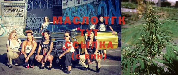 индика Беломорск