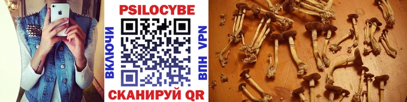 Галлюциногенные грибы мицелий  Купить где  Анжеро-Судженск 